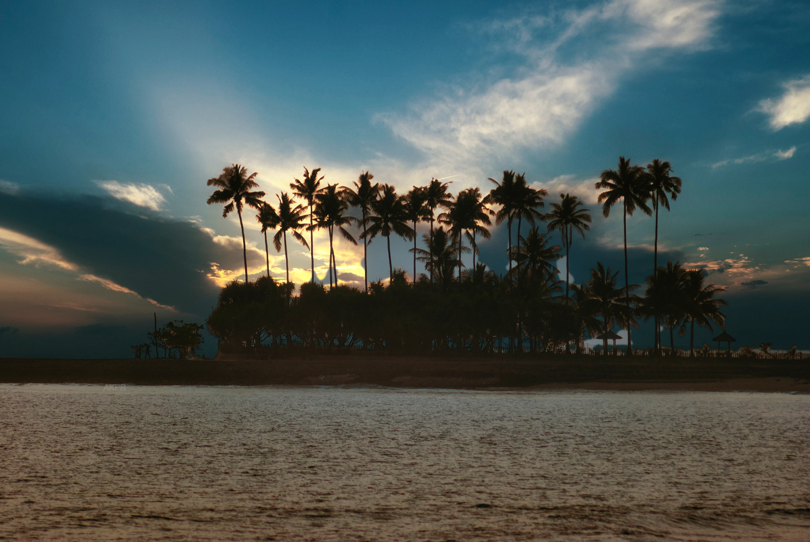 Palmen im Sonnenuntergang